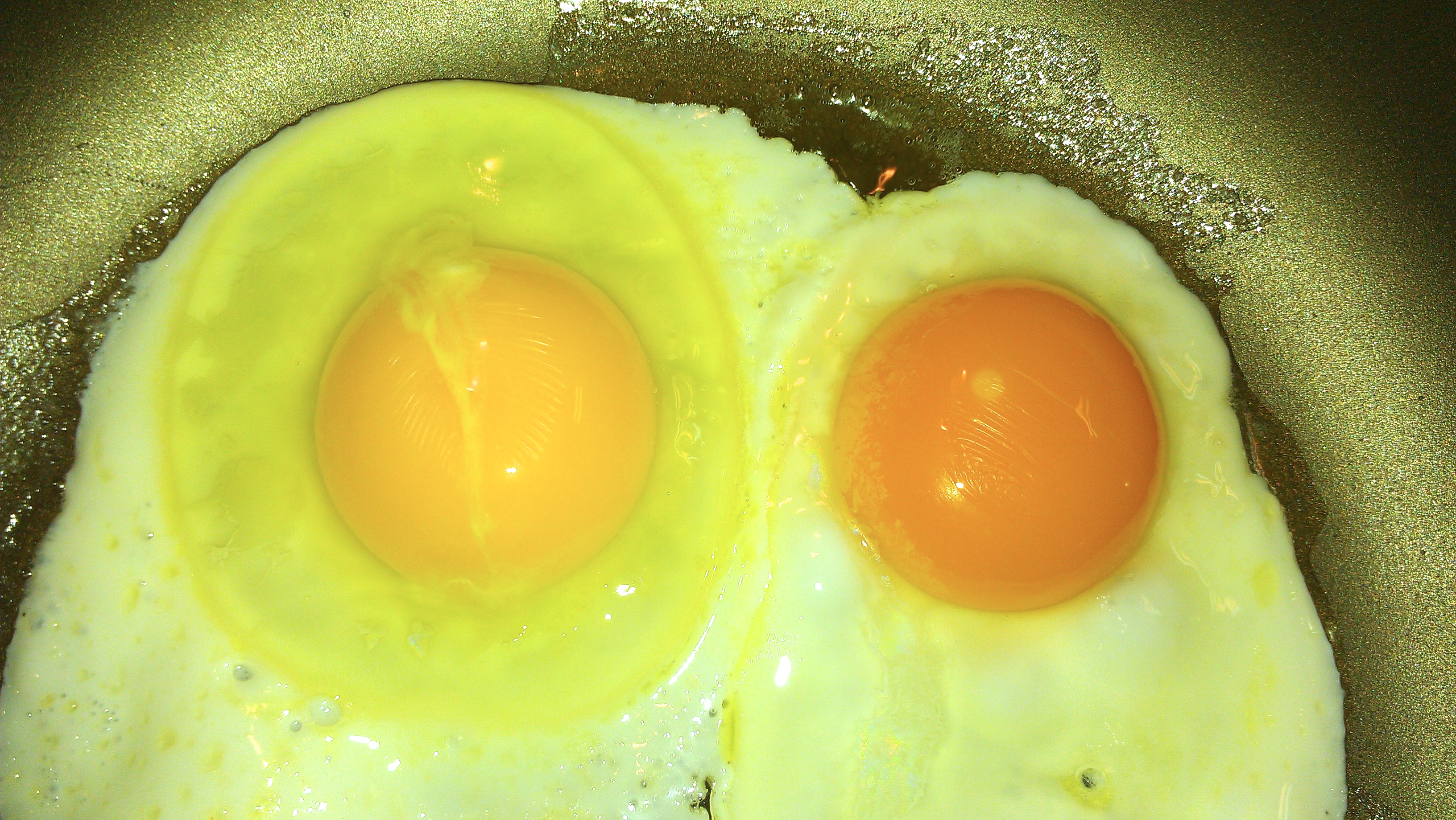 Can You Tell Which Is The Certified Organic, Cage-Free Egg?